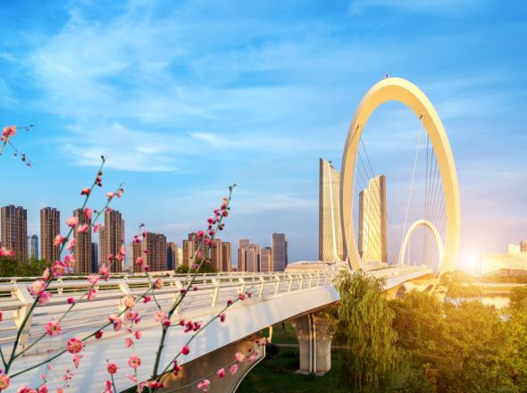 Chinese PPP Training 