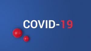 Covid-19 and PPPs