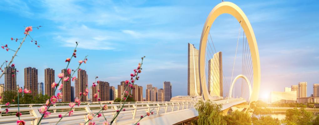 Chinese PPP Training