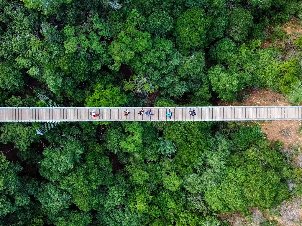 CP3P helps you to see the forest, not just the trees